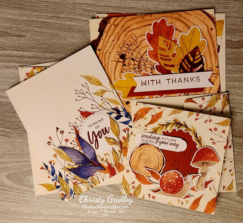 September 2024 Autumn Abundance Paper Pumpkin Kit - Christy's Stamping Spot